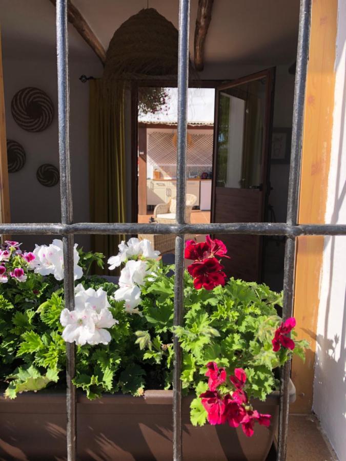 Casa La Alegria 37 Acomodação com café da manhã Villanueva de Tapia Exterior foto