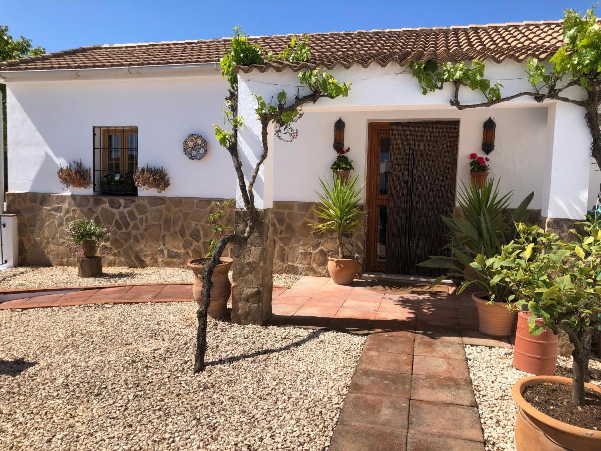 Casa La Alegria 37 Acomodação com café da manhã Villanueva de Tapia Exterior foto
